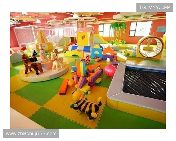 全站登录老虎机真人版平台，享受专业安全的游戏环境和优质的客户服务